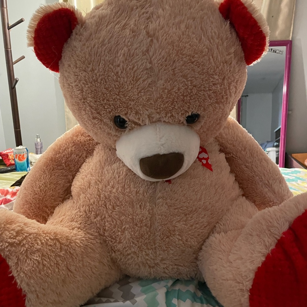 Teddy Bear